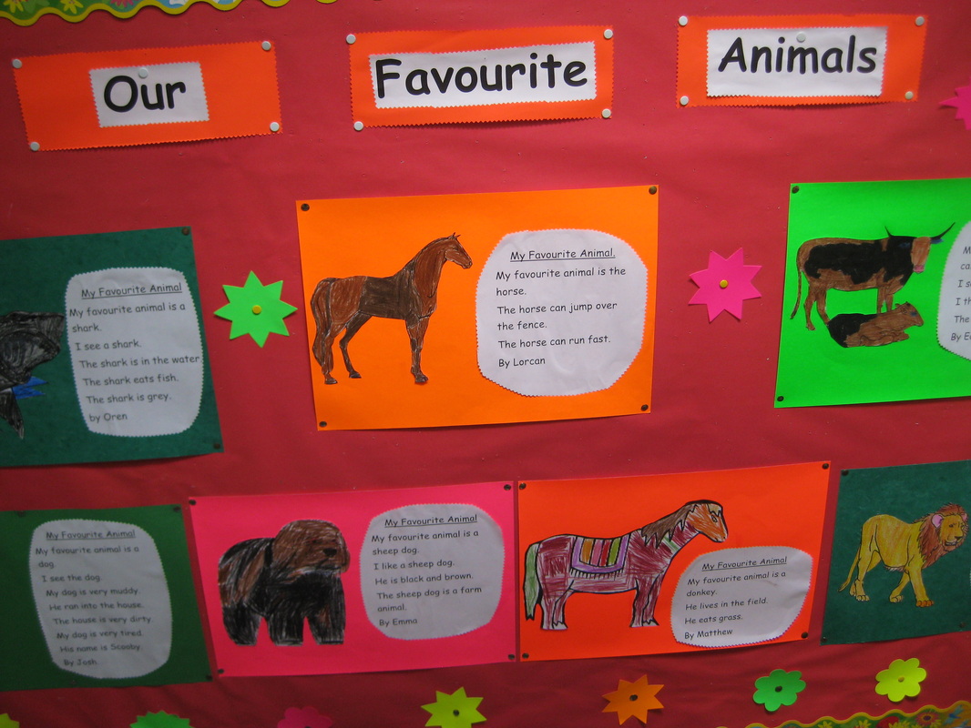 ms. mcnulty's class : our favourite animals 'S JUNIOR BOYS'/NENAGH  COMMUNITY NATIONAL SCHOOL.